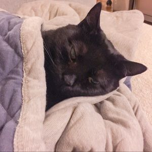 Meet your Posher, Samantha